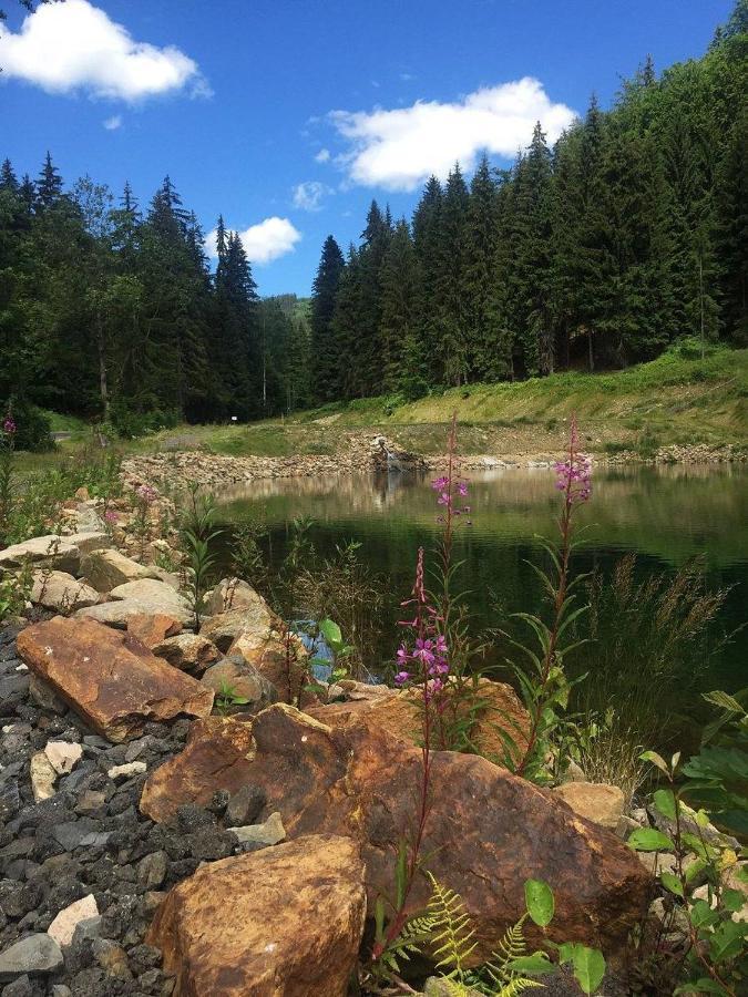 Horská Chata Pod Lanovkou Jáchymov Exterior foto