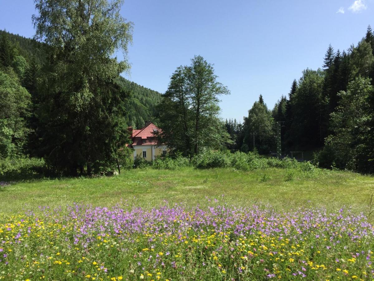 Horská Chata Pod Lanovkou Jáchymov Exterior foto